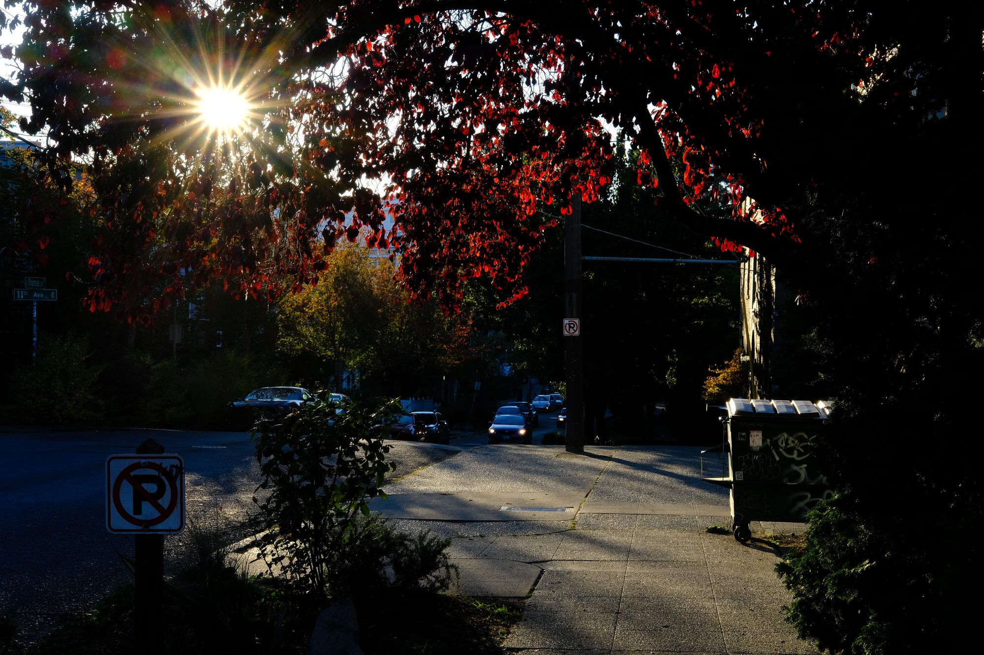 Capitol Hill Seattle sunflare