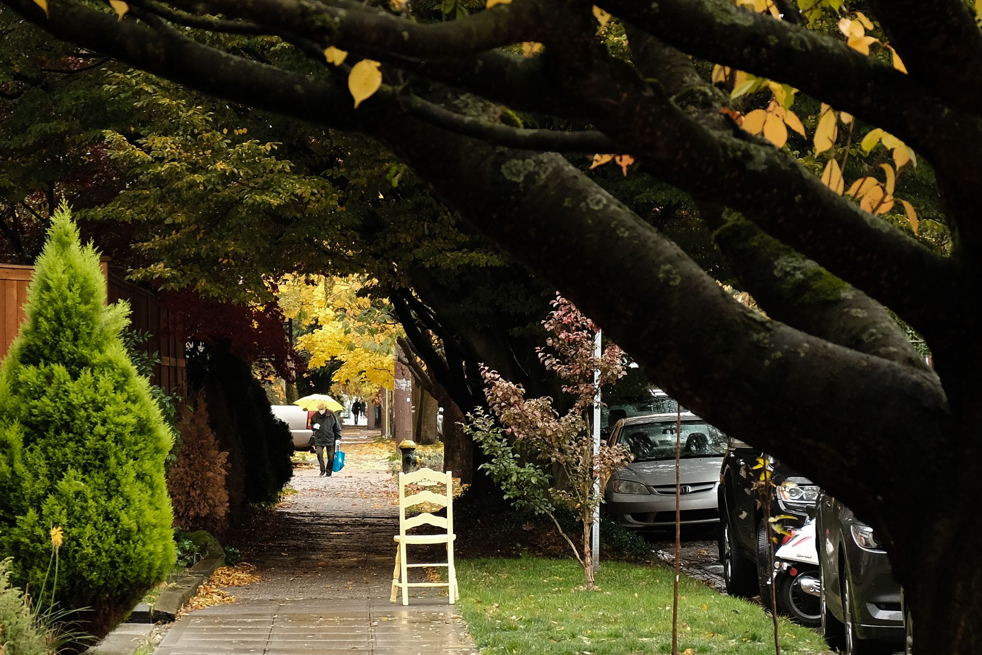 Capitol Hill, Seattle, November 2020.