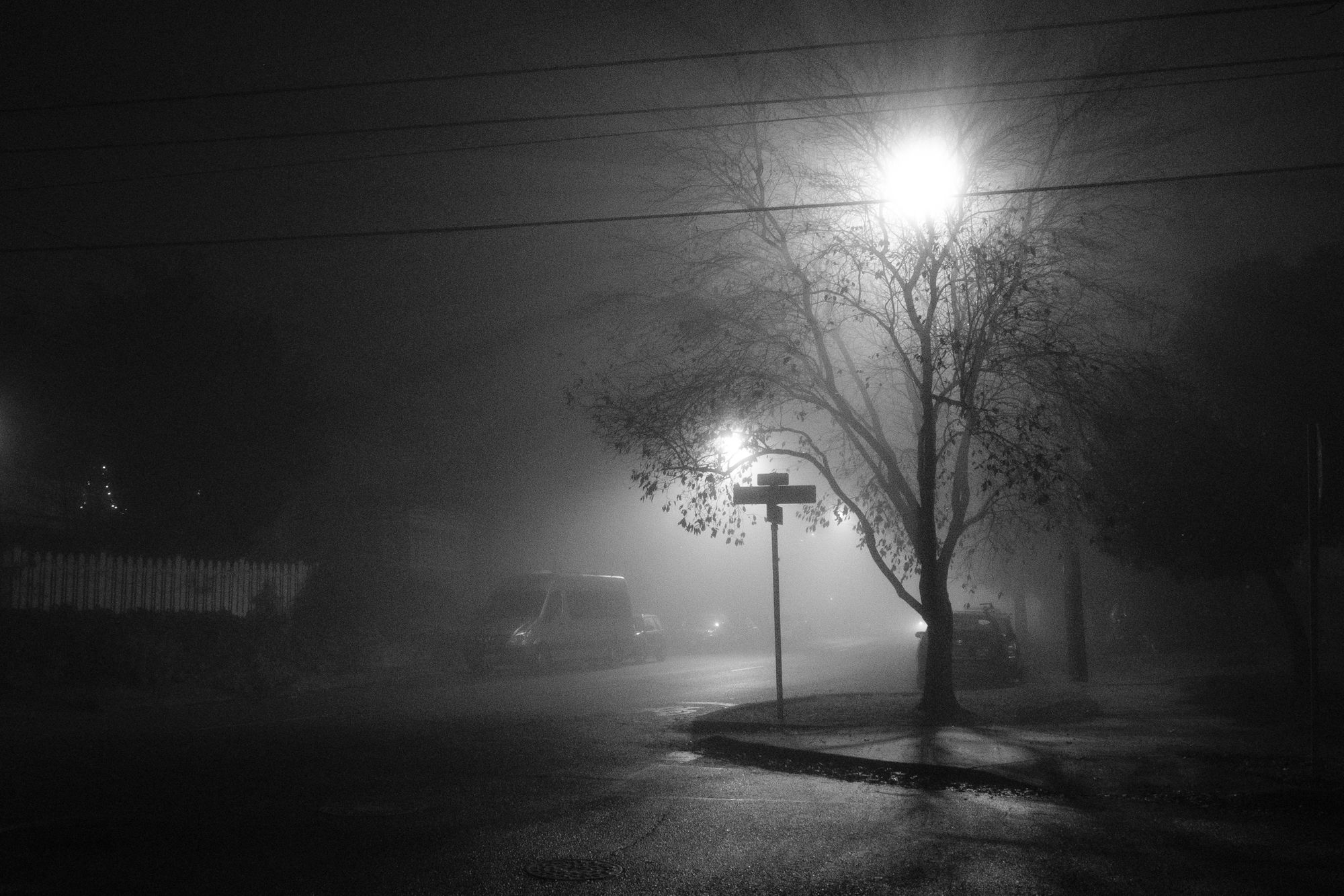 Fog Capitol Hill Seattle