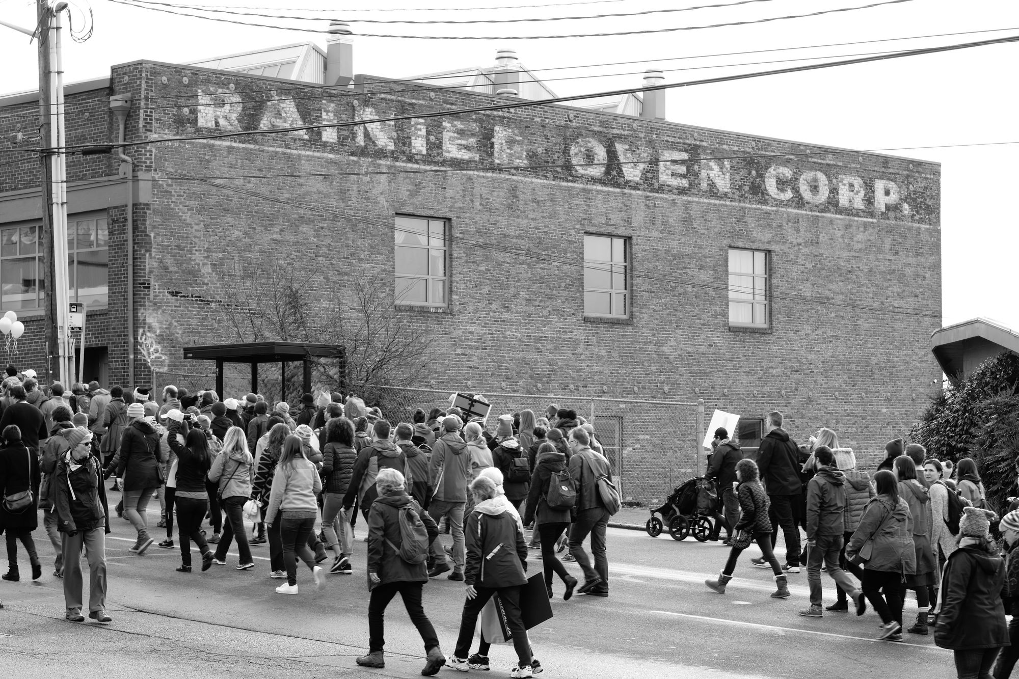 Women's March Seattle January 2017