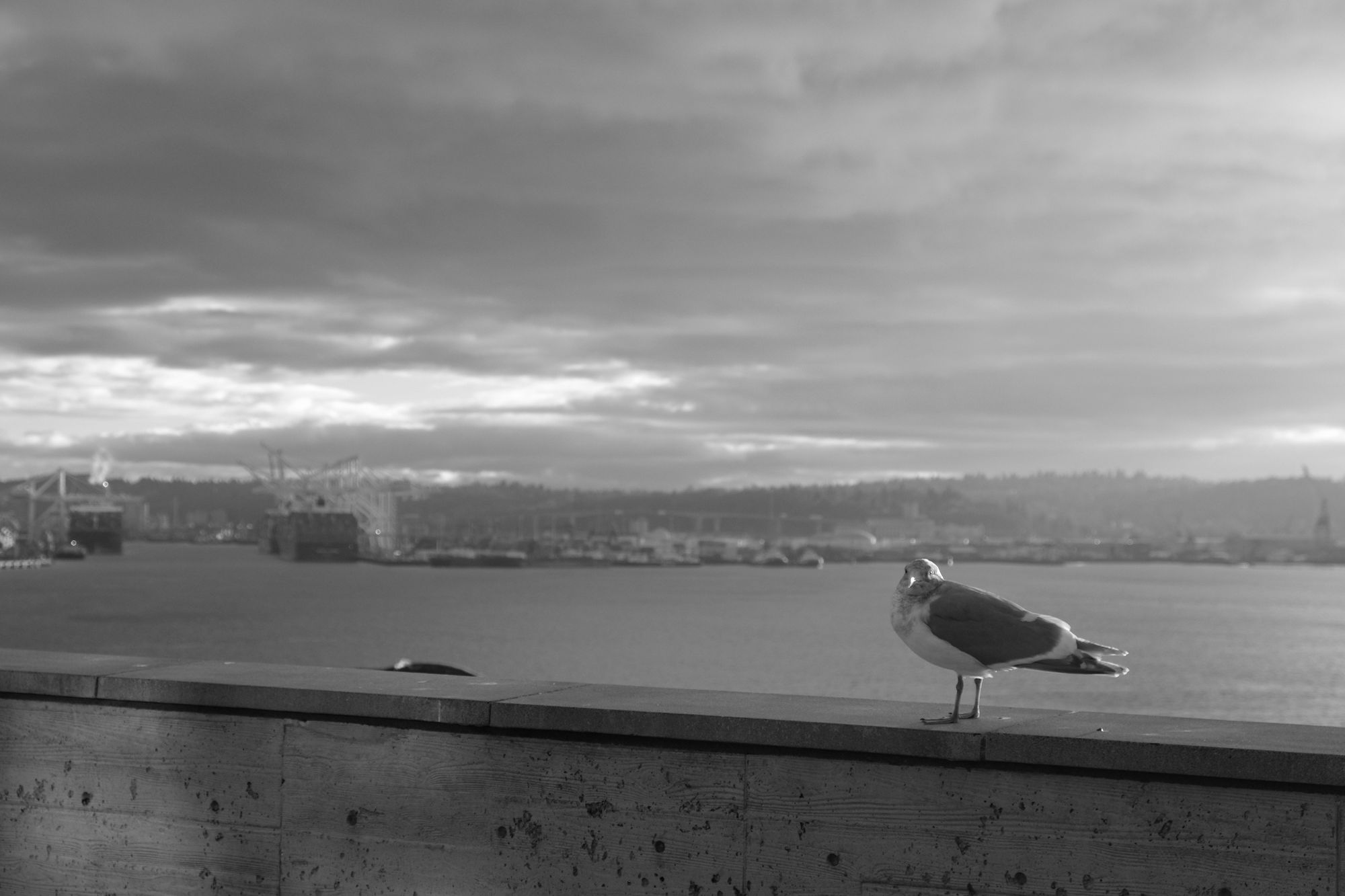 Pike Place Market Seattle