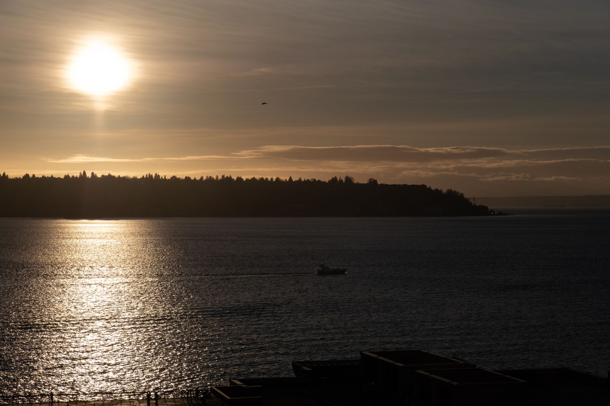 Seattle waterfront