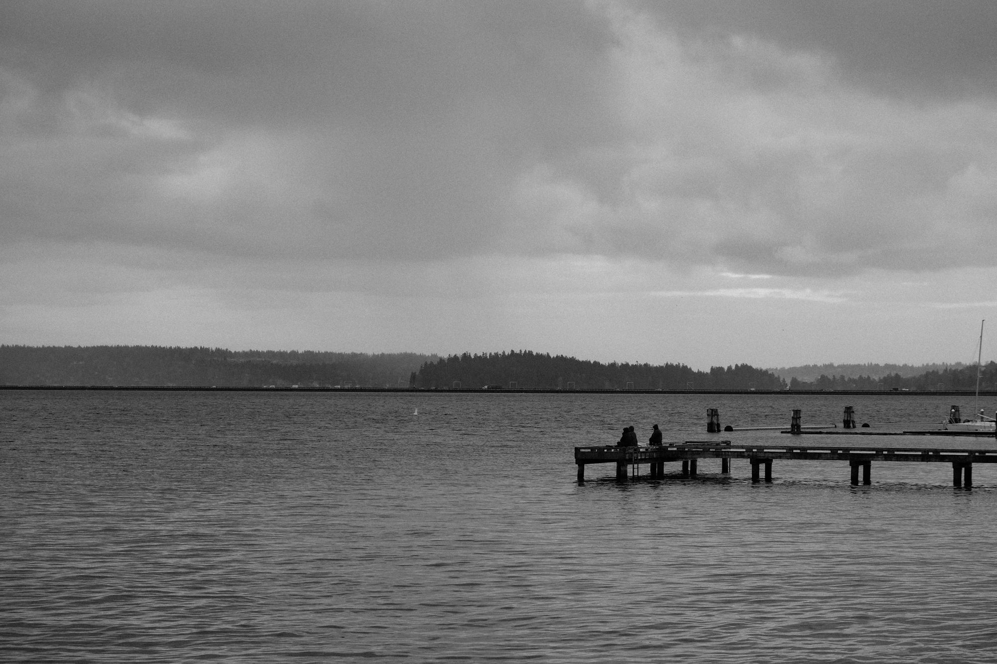 Waterfront Madrona Park Seattle