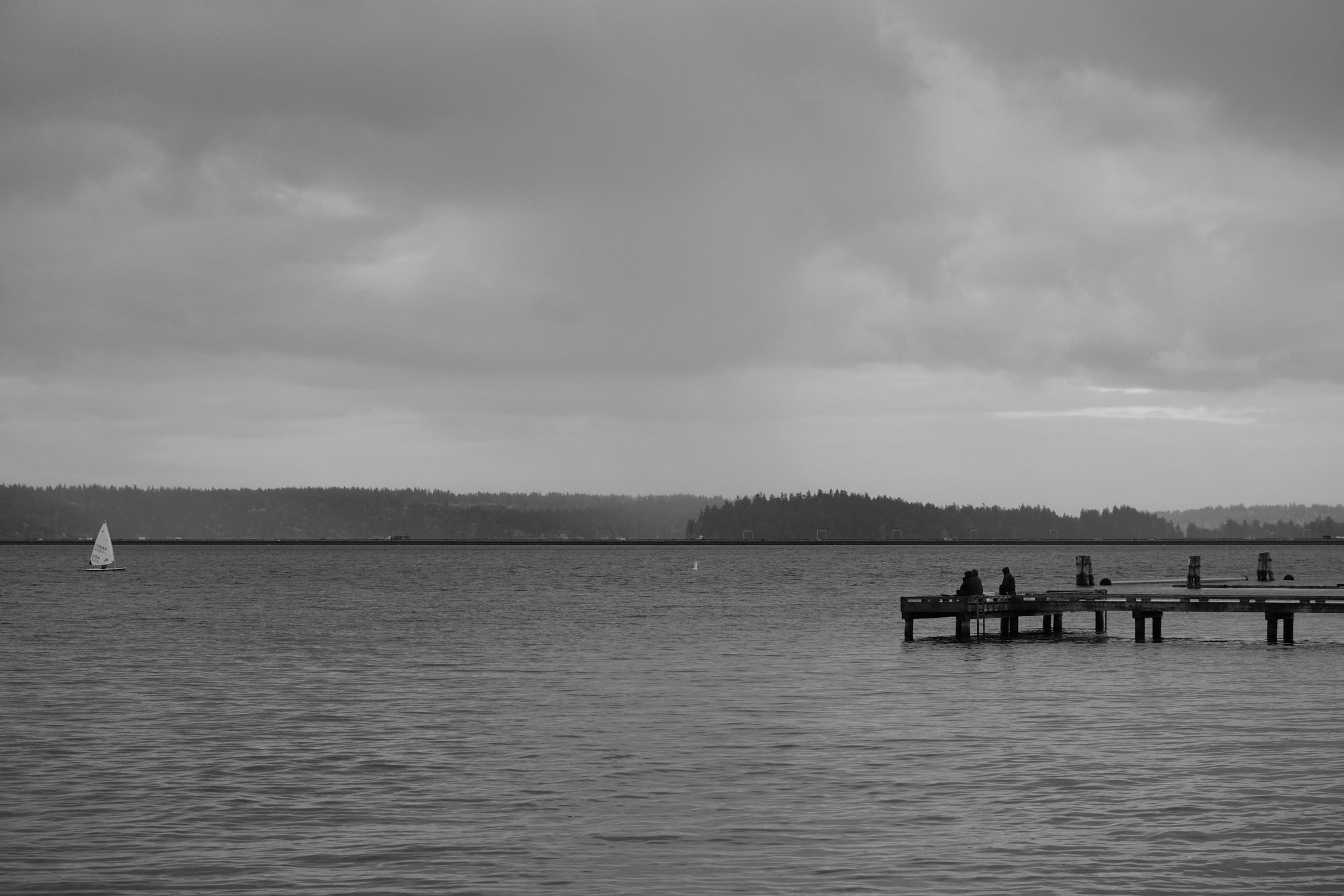 Waterfront Madrona Park Seattle December 2020