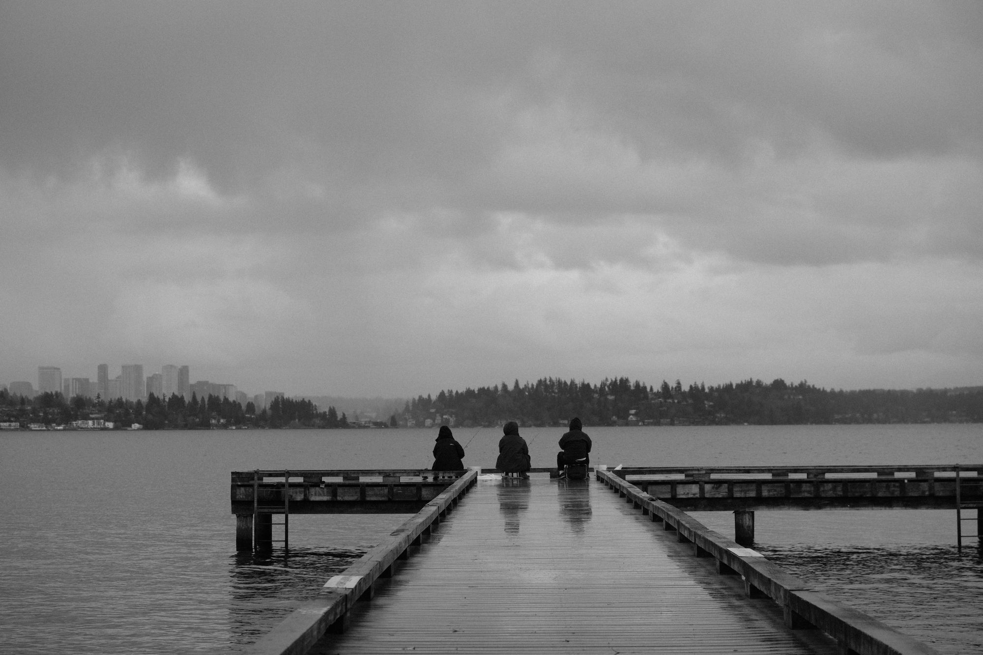 Waterfront Madrona Park Seattle
