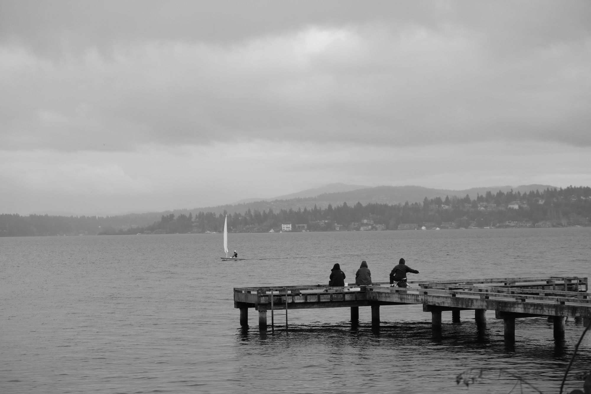 Waterfront Madrona Park Seattle