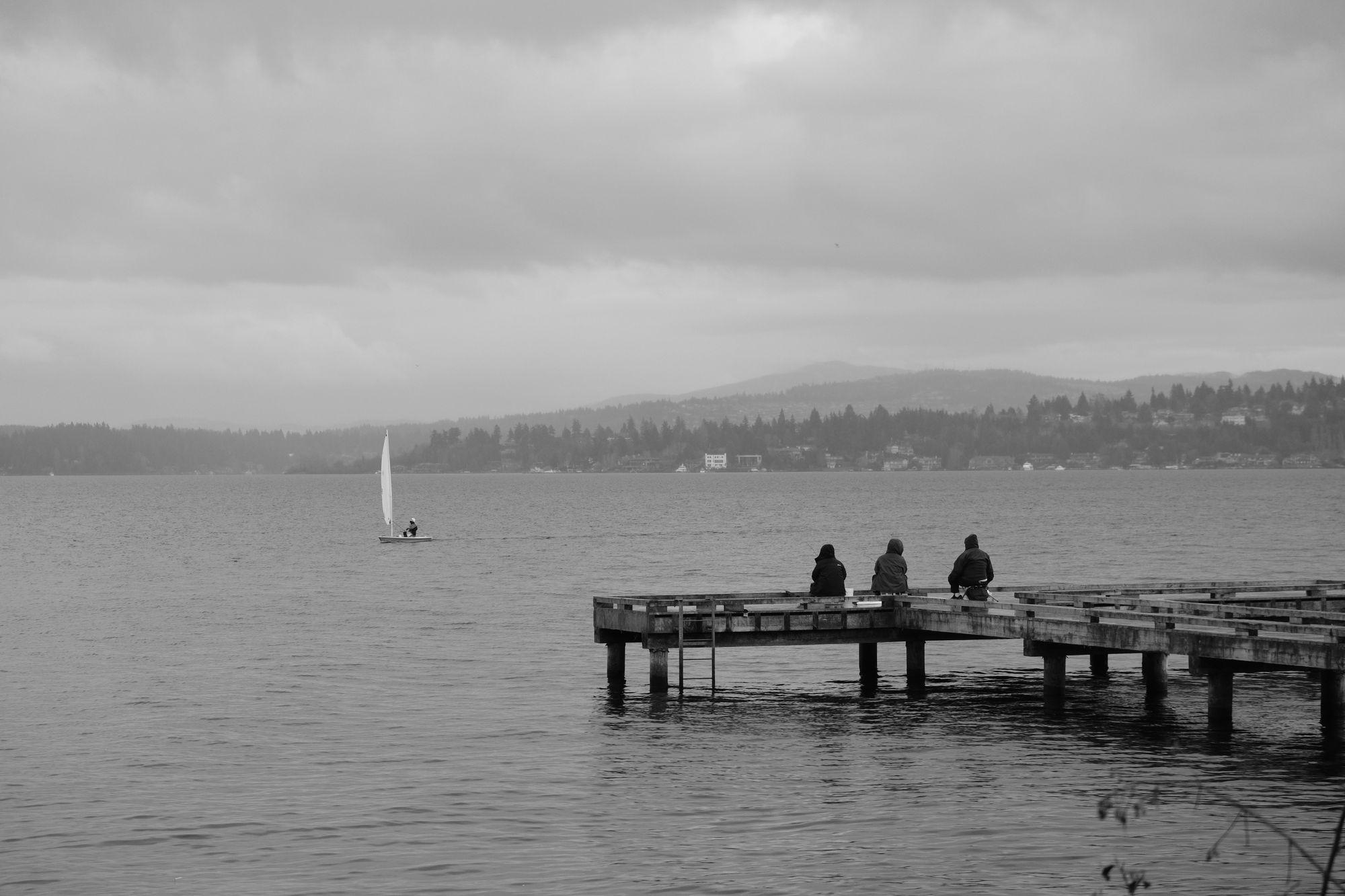 Waterfront Madrona Park Seattle