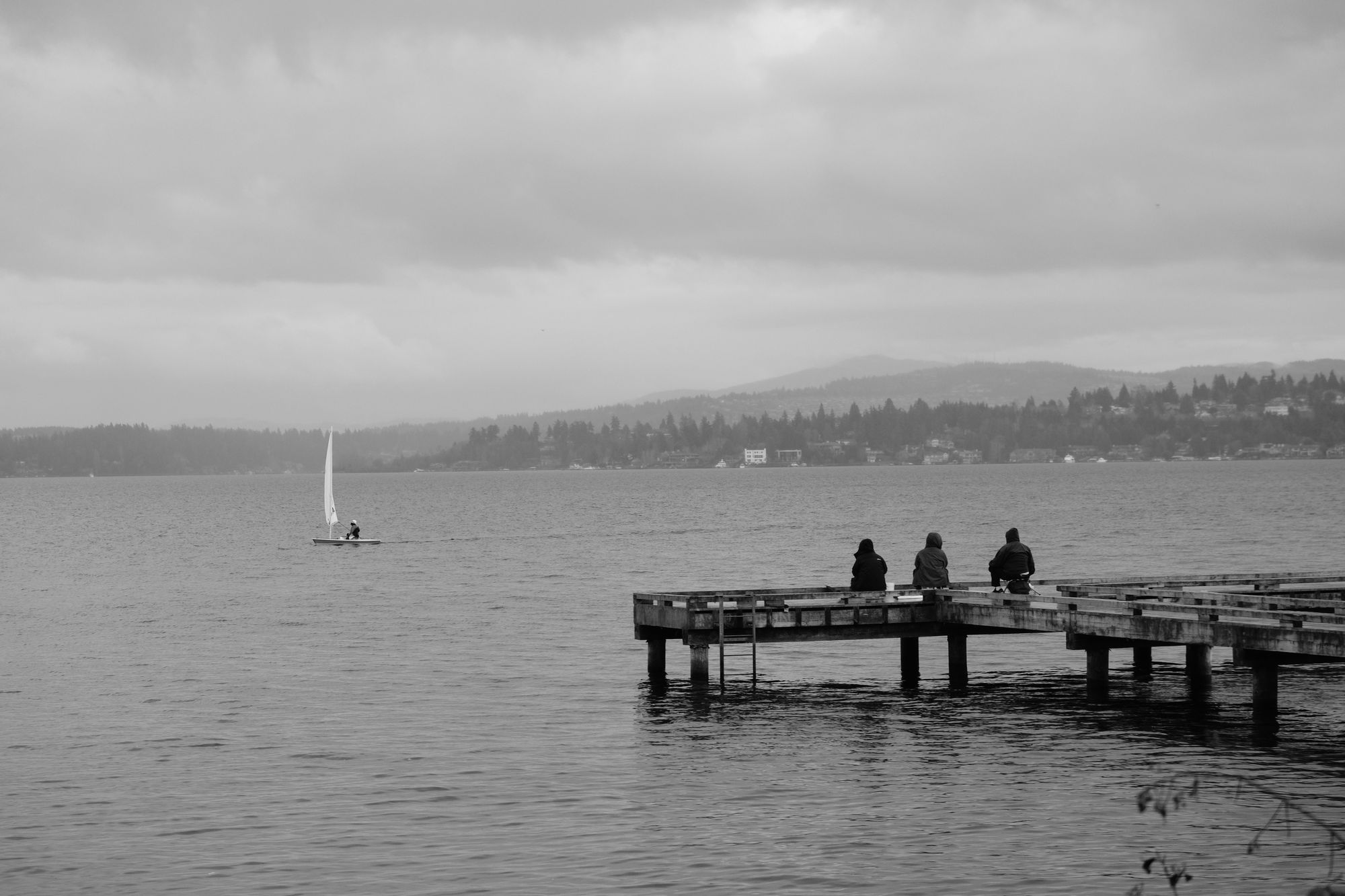 Waterfront Madrona Park Seattle