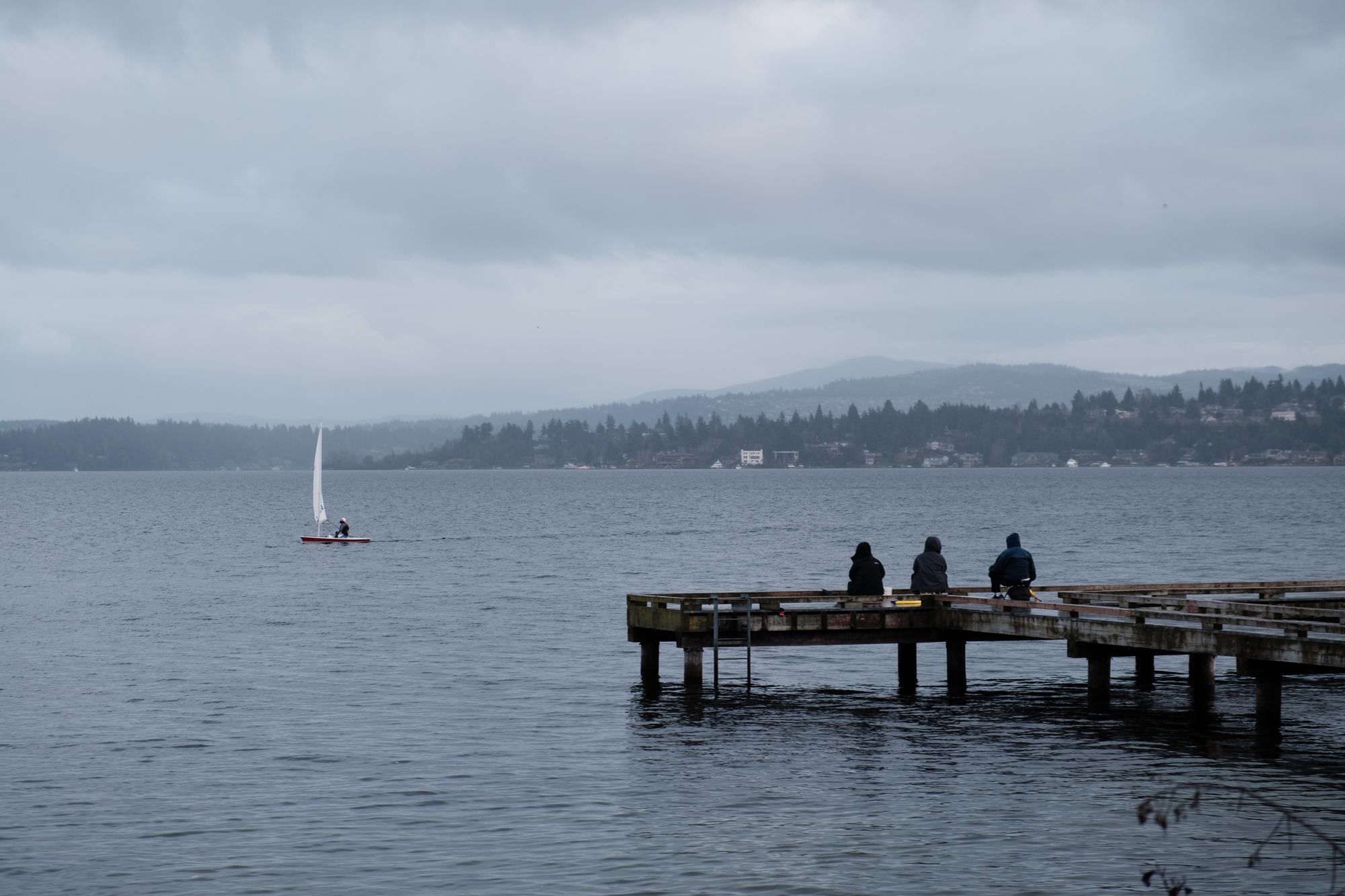 Madrona Park Seattle December 2020