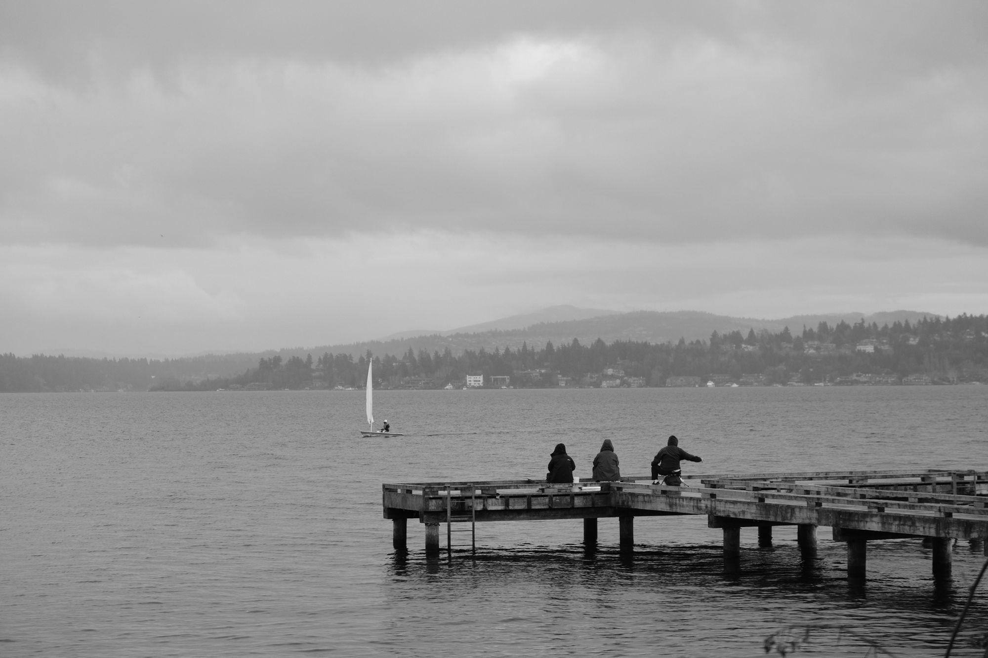 Waterfront Madrona Park Seattle