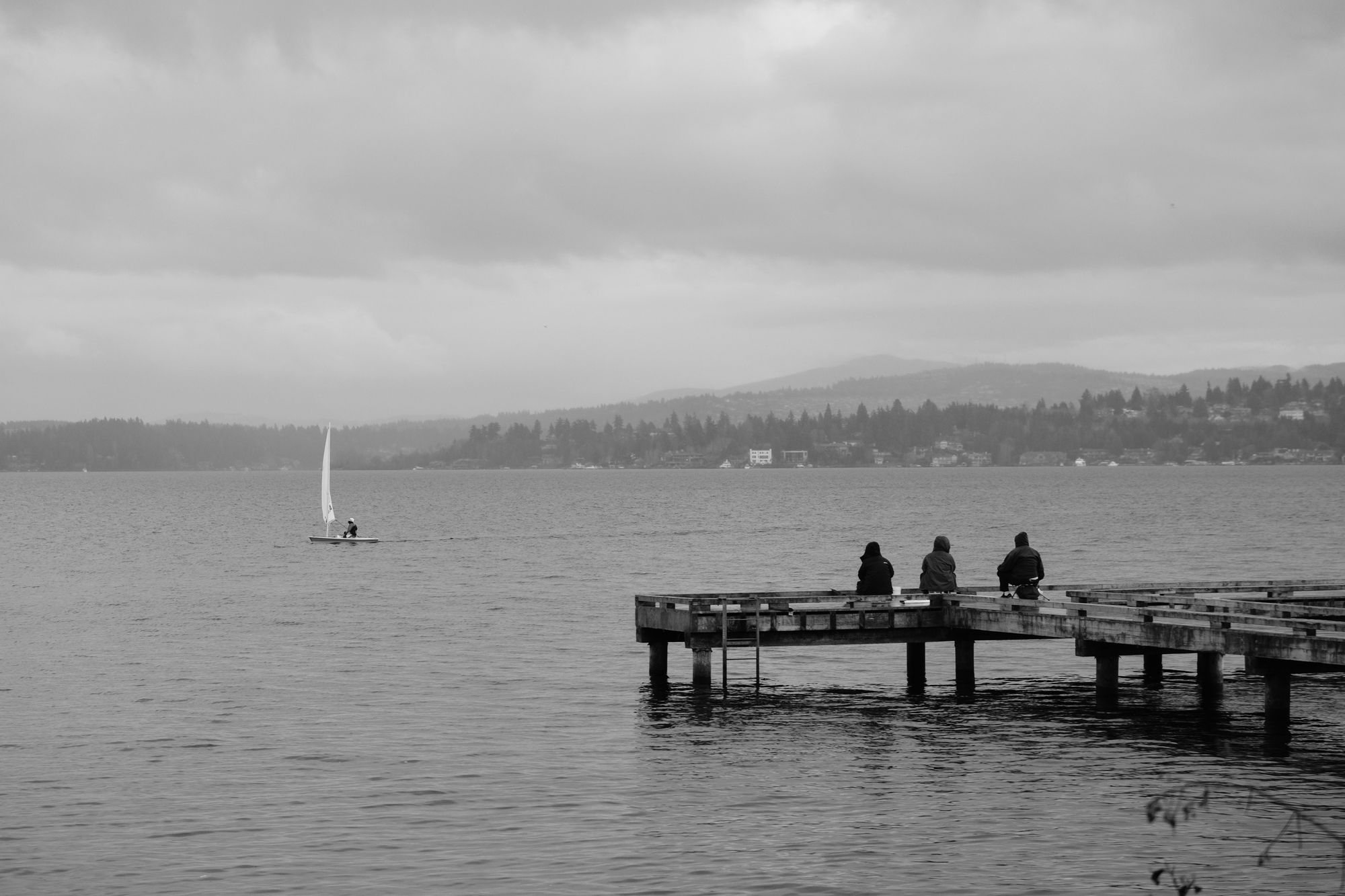 Waterfront Madrona Park Seattle