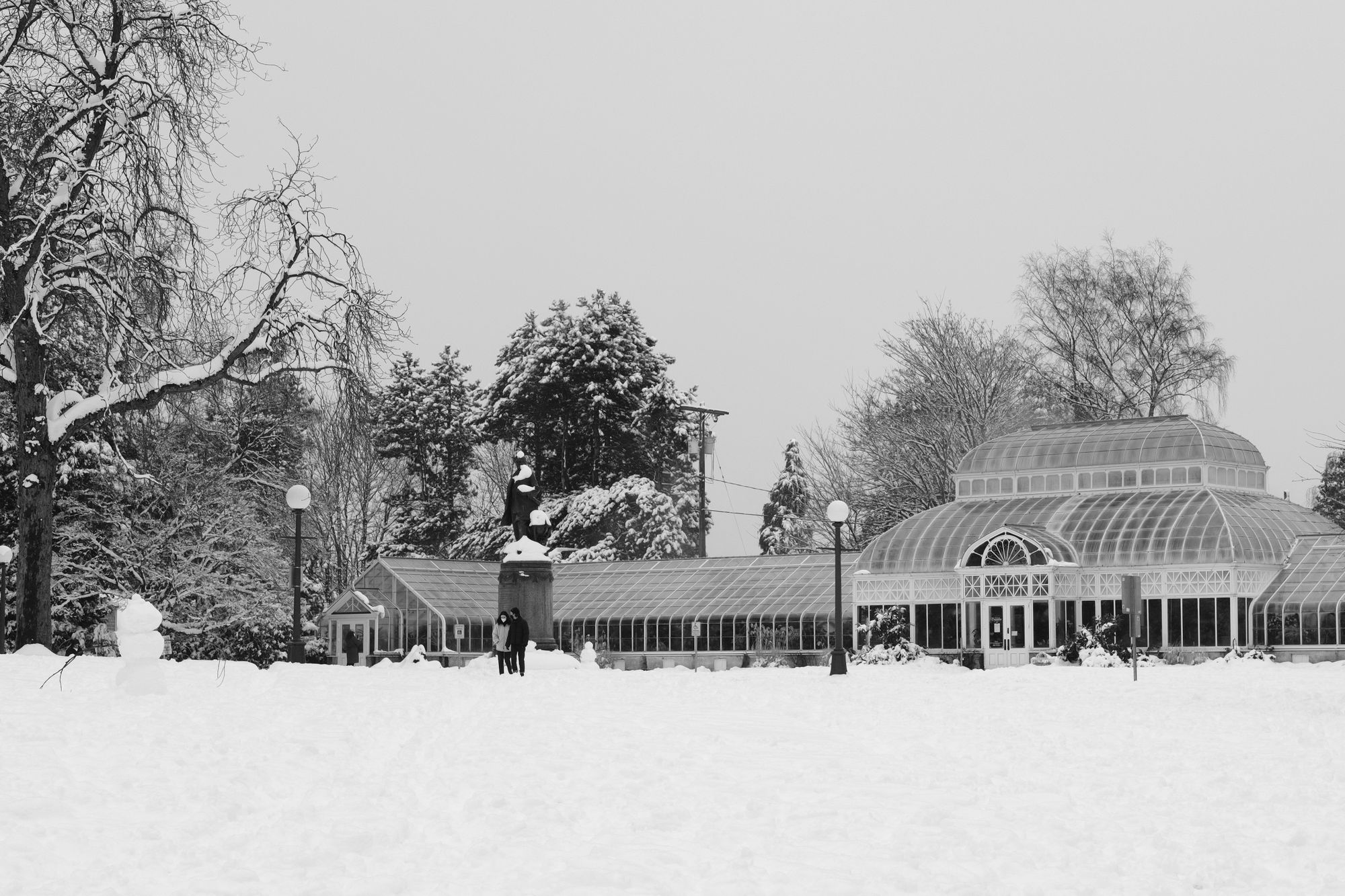 Volunteer Park Seattle February 2021