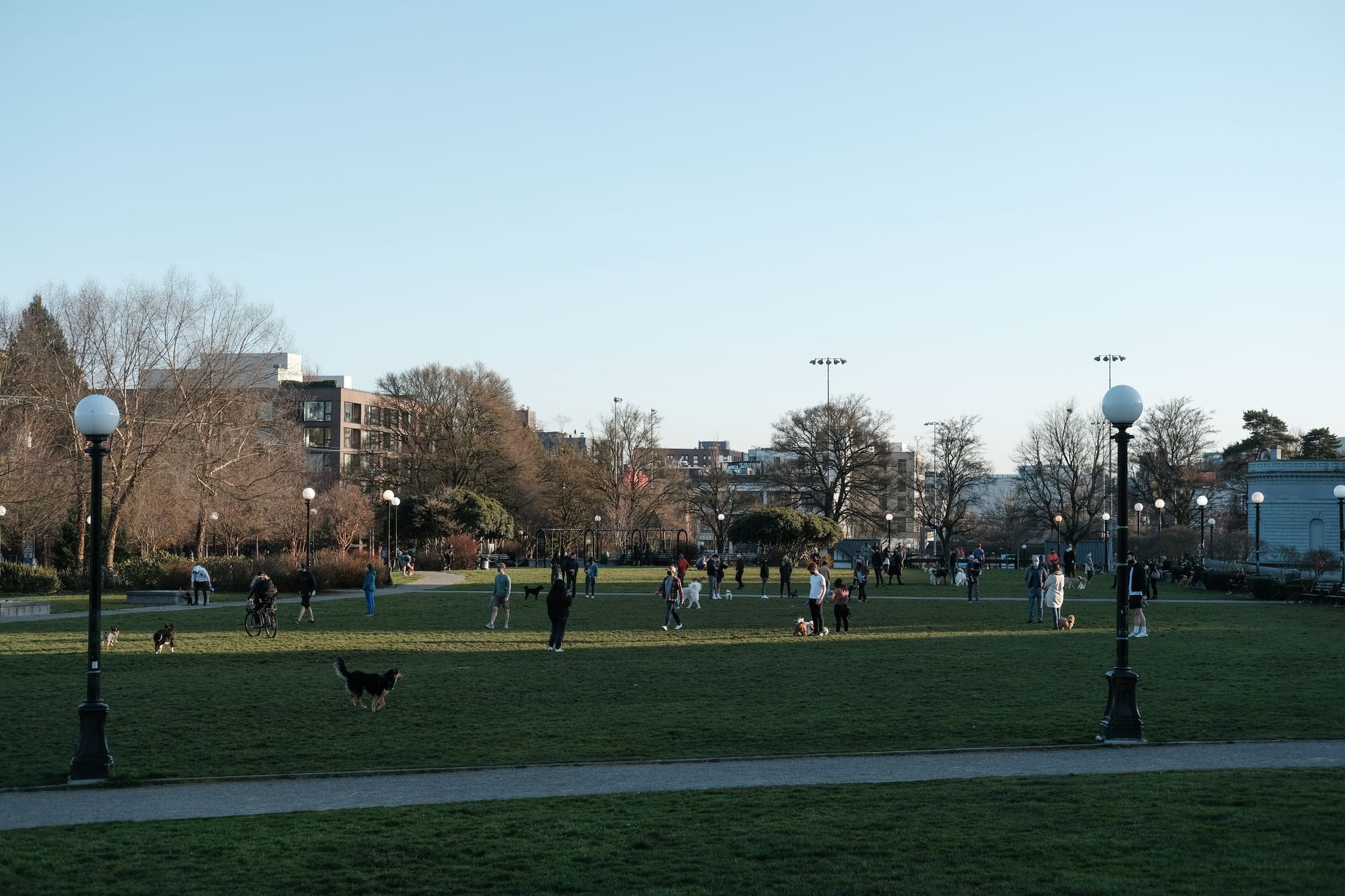 Cal Anderson Park Seattle