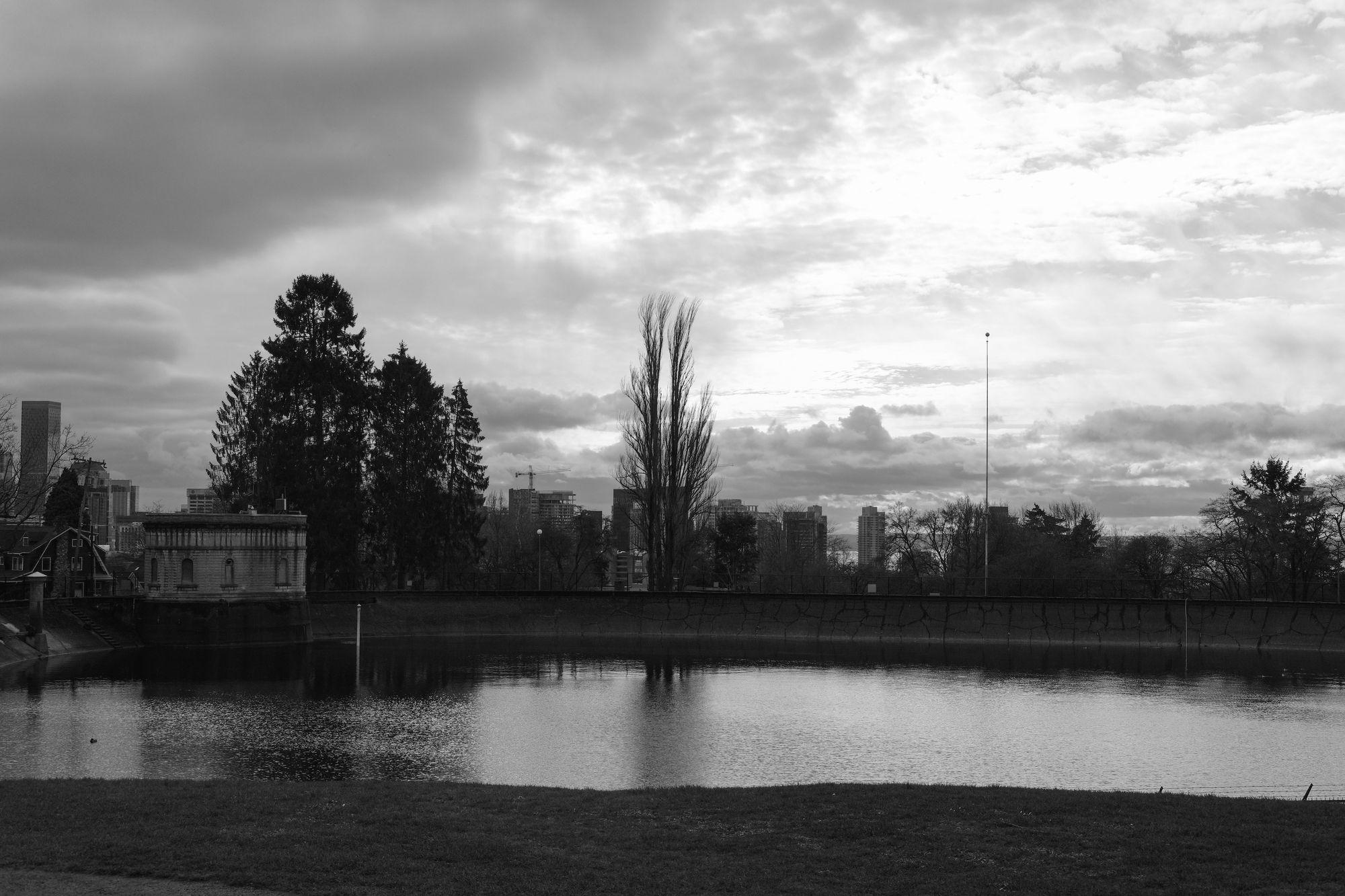 Volunteer Park Seattle February 2021