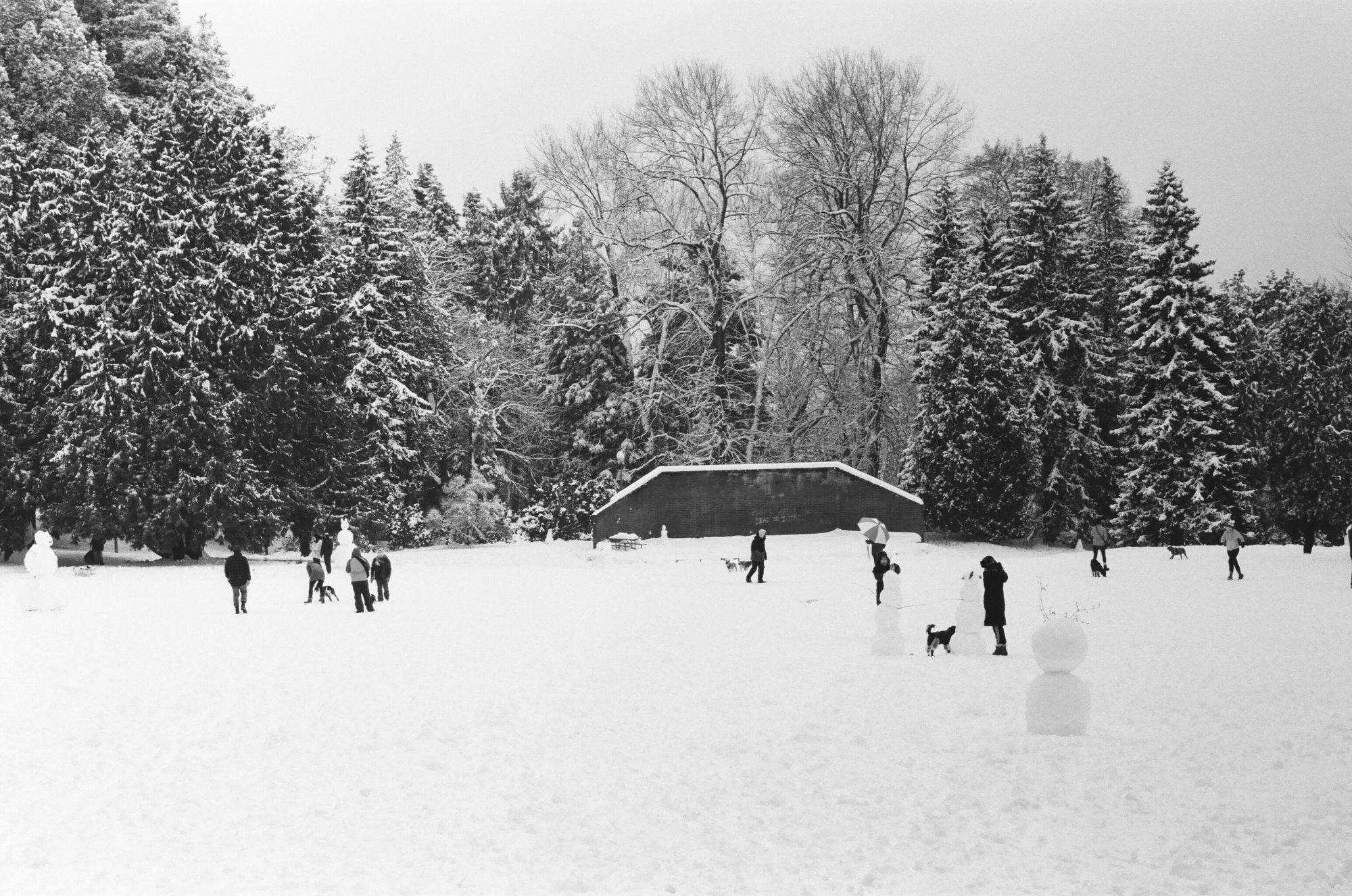 Snow Volunteer Park Capitol Hill Seattle