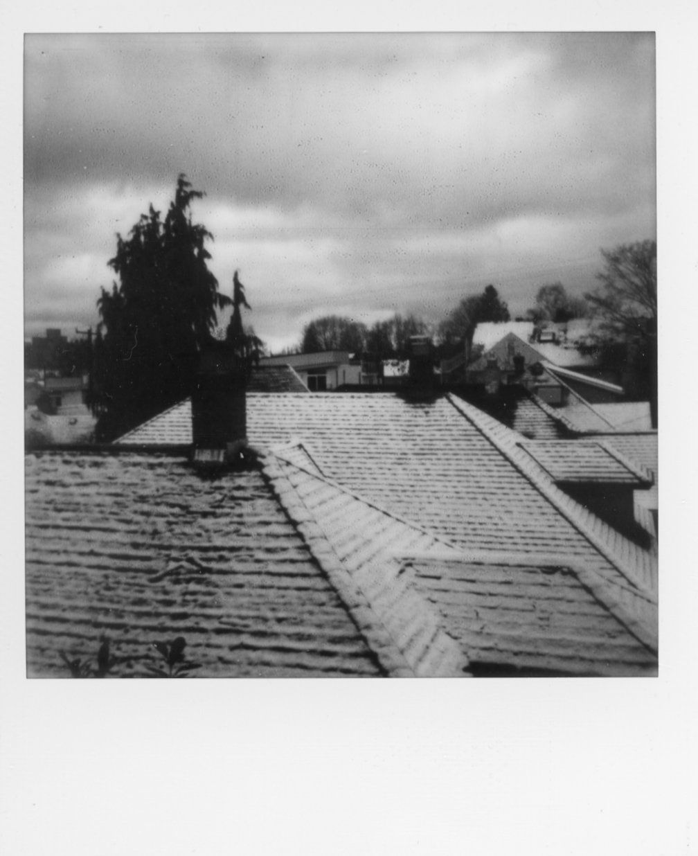 A polaroid photo of snow-covered rooftops on a grey winter day in Seattle, February 2023.